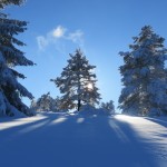 IMG_1879
