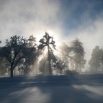IMG_6918
