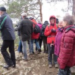 IMG_2091 - Kopie