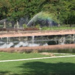 IMG_3395.01