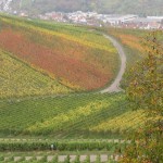 IMG_4157 - Kopie