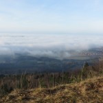 IMG_4481 - Kopie