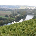 IMG_5564 - Kopie