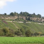 IMG_5584 - Kopie