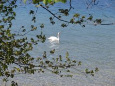 img_6294-kopie