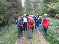 img_7461-kopie